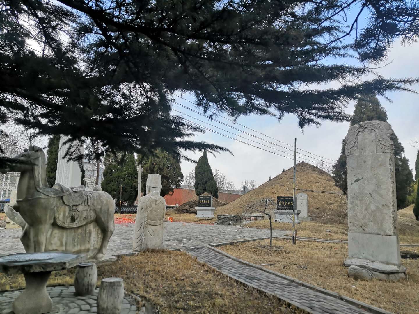 微信图片_202204131618431.jpg